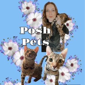 POSH PET LIVE SHOW NOTIFICATION POST